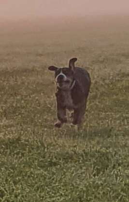 Fotochallange 84-Beitrag-Bild