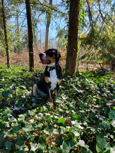 Foto Challenge Nr. 79-Beitrag-Bild