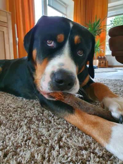 Fotochallange 84-Beitrag-Bild