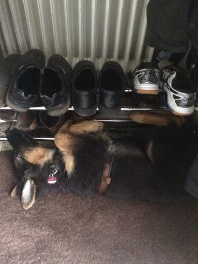 4. Lustiger Schlafplatz-Beitrag-Bild