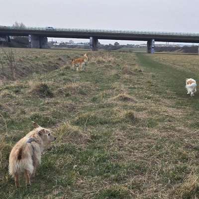 Titelbild Gruppe Dresden-Übigau