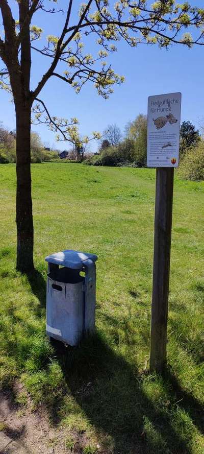 Hundeauslaufgebiet-Alexandersfeld-Bild