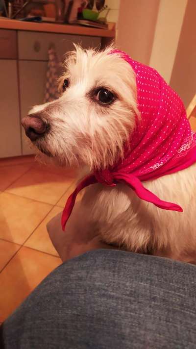 Lustige Bilder-Beitrag-Bild