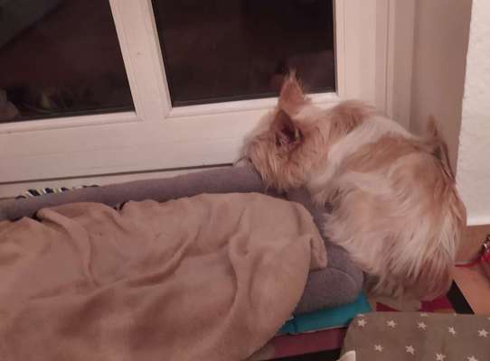 Die unbequemsten und lustigsten Schlafpositionen-Beitrag-Bild