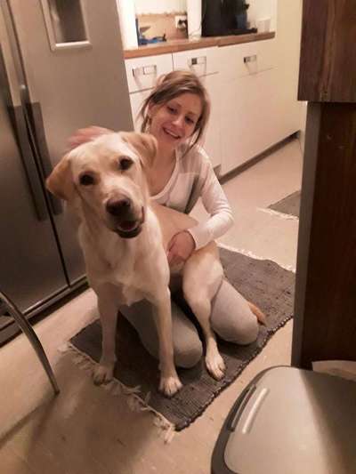 Unsere Fellnasen im Regenbogenland-Beitrag-Bild