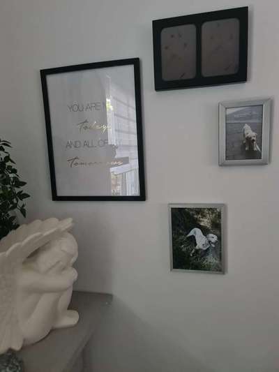 Unsere Fellnasen im Regenbogenland-Beitrag-Bild