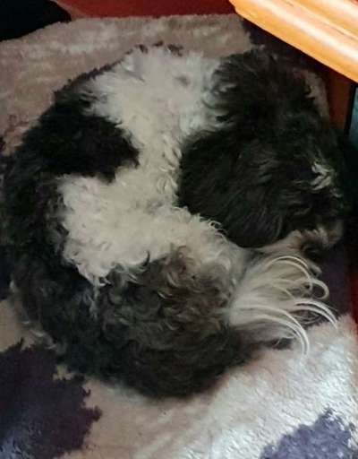 Fotochallange - Eingekugelt-Beitrag-Bild