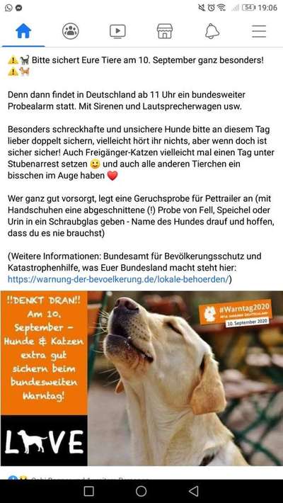 Hund Geräuschtraining-Beitrag-Bild