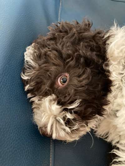 Fotochallange Nr. 57     PORTRÄT.   Beendet!!!!!!!!-Beitrag-Bild