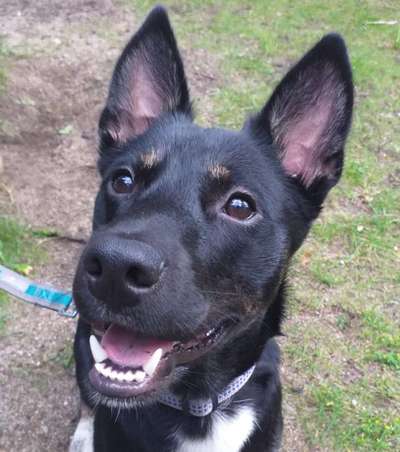 Fotochallange Nr. 57     PORTRÄT.   Beendet!!!!!!!!-Beitrag-Bild