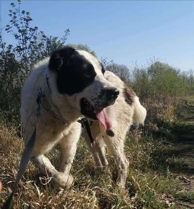 Vorurteile-Beitrag-Bild