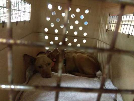 Das erste Foto-Beitrag-Bild