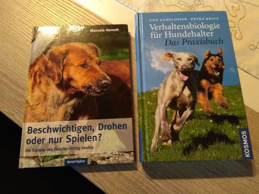 Hunde-Fachliteratur-Beitrag-Bild