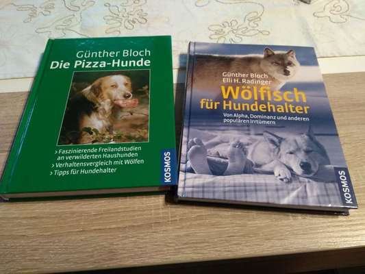 Hunde-Fachliteratur-Beitrag-Bild