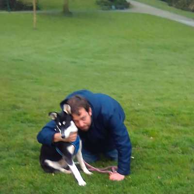 Hundetreffen-Wer hat Interesse mit uns Gassi zu gehen nur ernst gemeinte Kira freut sich gerne