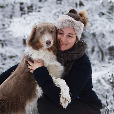 Hundetreffen-Spaziergang in Wetter-Profilbild