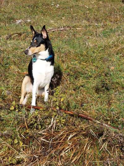 Doppelgänger gesucht !-Beitrag-Bild