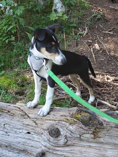 Handy-Foto-Challange Nr.9-Beitrag-Bild