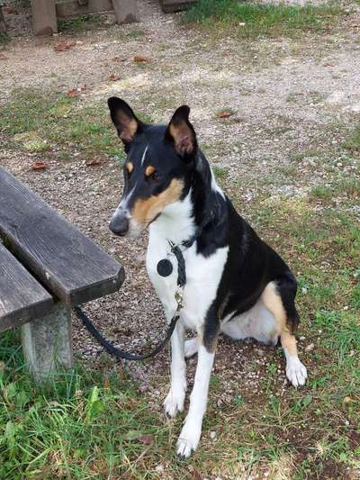 Doppelgänger gesucht !-Beitrag-Bild