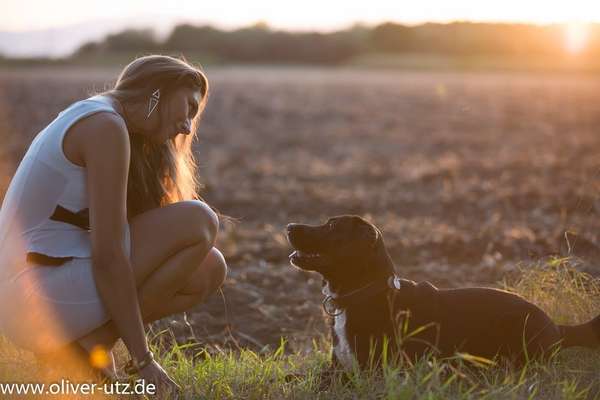 Hundmenschfotos-Beitrag-Bild