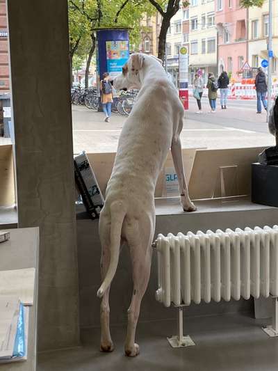 120. Fotochallenge-Beitrag-Bild