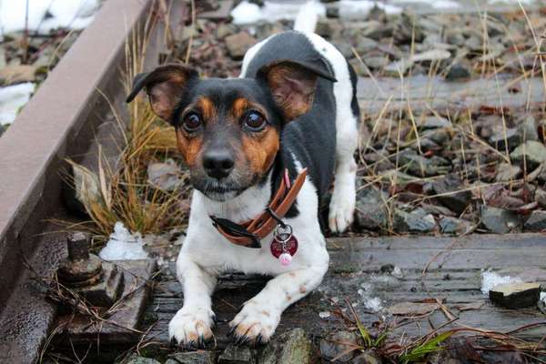 Lieblingsbild-Beitrag-Bild