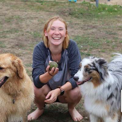Hundefriseure-Pflege ohne wege-Bild