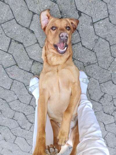 Fotochallange Nr. 57     PORTRÄT.   Beendet!!!!!!!!-Beitrag-Bild