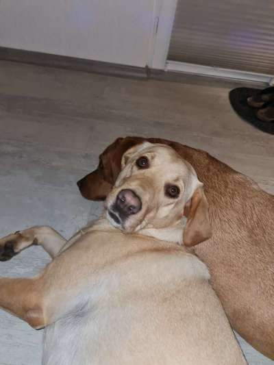 Fotochallange Nr. 57     PORTRÄT.   Beendet!!!!!!!!-Beitrag-Bild