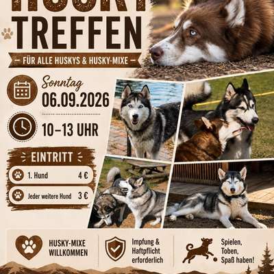 Hundetreffen-Husky Treffen & Mix-Bild