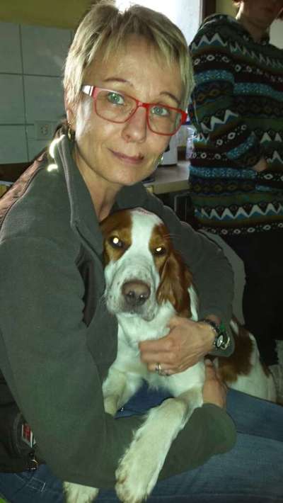 Wie kamst du zu deinem Hund?-Beitrag-Bild