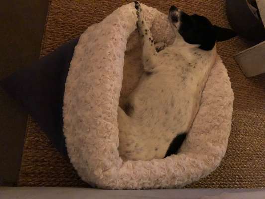 Weihnachten-Beitrag-Bild