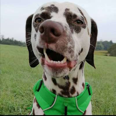 Challenge Nr. 10: "Das schönste Lächeln"-Beitrag-Bild