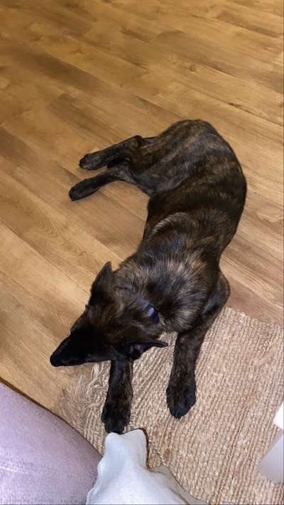 Wie soll ich ihm grenzen setzen?-Beitrag-Bild