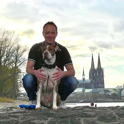 Hundetreffen-Gassi- oder Spielrunden