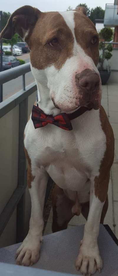 Lieblingsbild :D-Beitrag-Bild