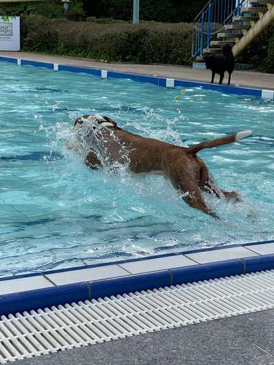 35. Handy Foto Challenge - Das nasse Element-Beitrag-Bild