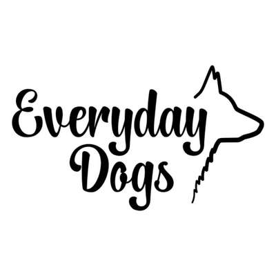 Hundeschulen-Everyday Dogs Hundetraining-Bild