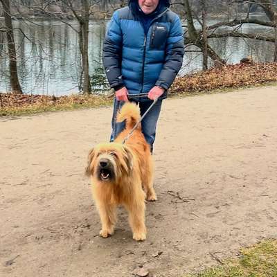 Giftköder-Aggressive Hunde @ Grüntal-Bild