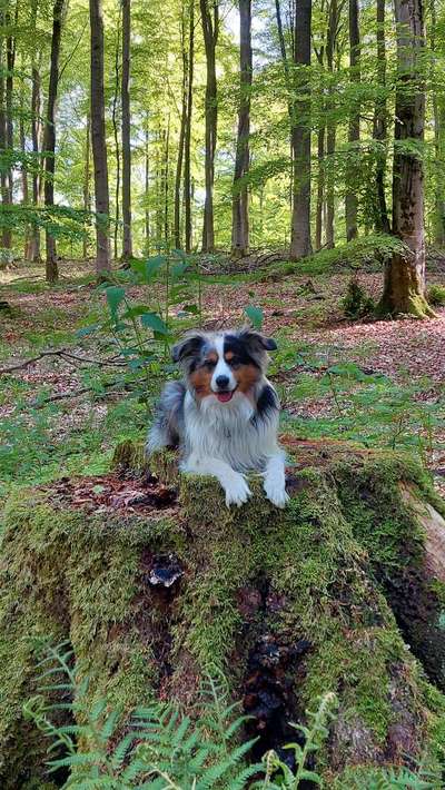 Foto Challenge Nr. 79-Beitrag-Bild