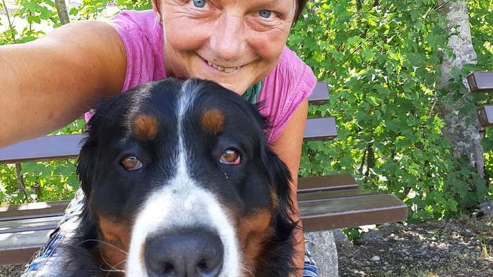 Berner Sennen-Beitrag-Bild