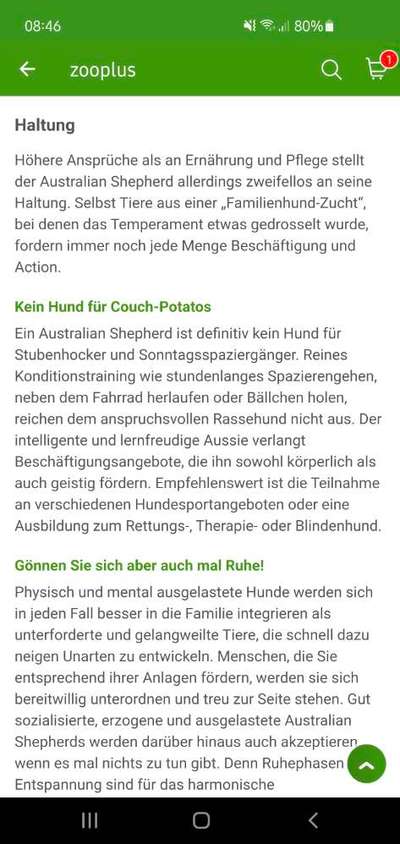 Was ist ein Anfängerhund?-Beitrag-Bild