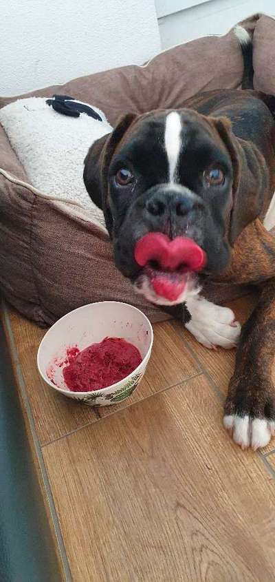 Hier ist der Spaßthread. Zum Schmunzeln und Kaputtlachen-Beitrag-Bild