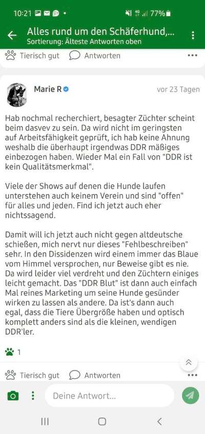 Alles rund um den Schäferhund, diskutieren erwünscht.-Beitrag-Bild