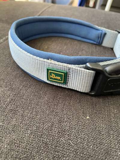 Hunter Halsband Größe M 12VB-Beitrag-Bild