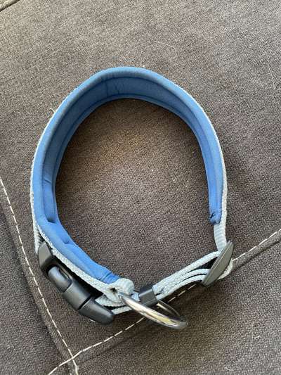 Hunter Halsband Größe M 12VB-Beitrag-Bild