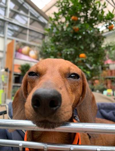 Lieblingsbild-Beitrag-Bild