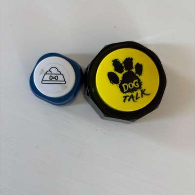 Knöpfe-Beitrag-Bild