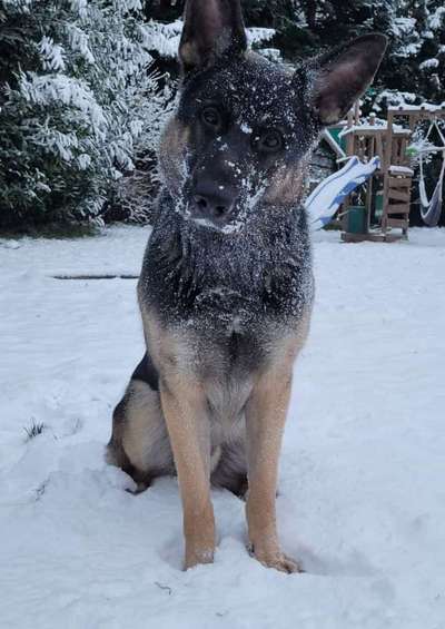 Zeigt eure Portraits-Beitrag-Bild