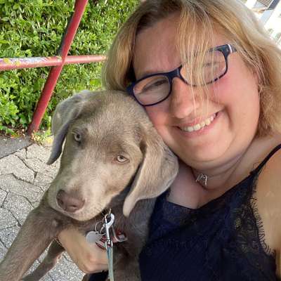 Hundetreffen-Freunde zum spielen gesucht-Profilbild